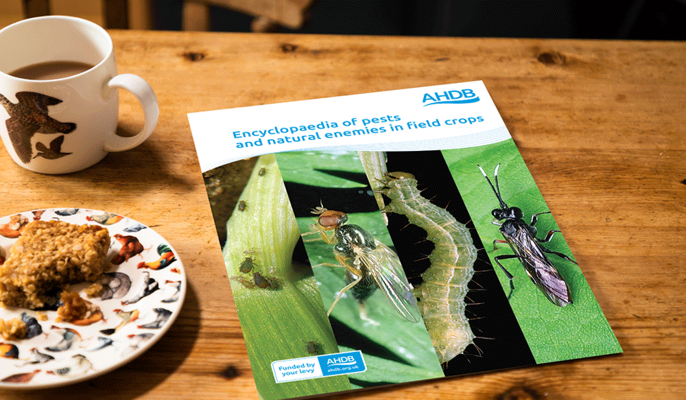 Encyclopaedia of pests and natural enemies on a coffee table.